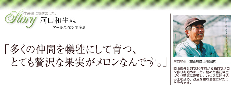 生産者に聞きました。アールスメロン生産者 河口和生さん
