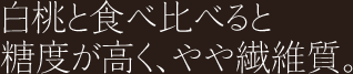 �@�ێ�