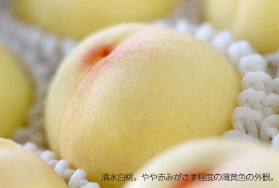 ���䂳��ޏ�