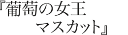 �����̏����A�}�X�J�b�g