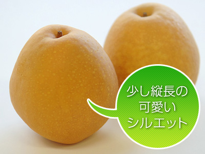 ���H���i�������イ�Ȃ��j