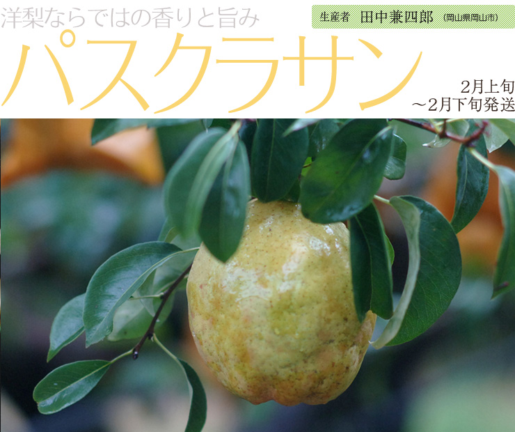 洋梨ならではの香りと旨み パスクラサン