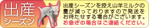 yagi出産シーズンを控え山羊ミルクの量が減っておりますので発送をお待たせする場合がございます。お急ぎの場合はご連絡ください。
