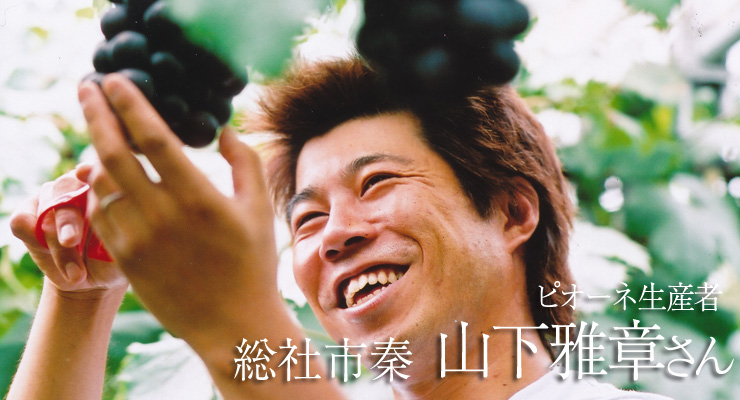 ピオーネ生産者 総社市秦 山下雅章さん
