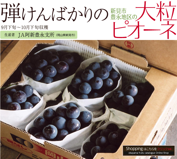 �L�i�̑嗱�s�I�[�l