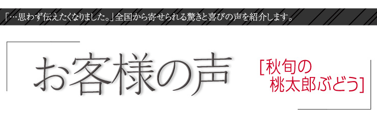 お客様の声