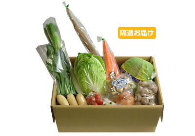【隔週定期】野菜BOX[お手軽]10～12品　