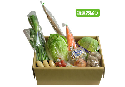 【毎週定期購入】野菜BOX[お手軽]10～12品
