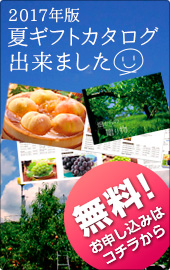 2017年夏秋カタログ