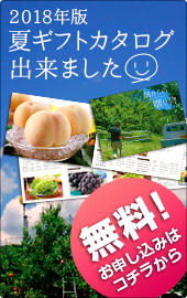 2018年夏秋カタログ