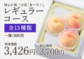 桃全部食べ尽くしレギュラー