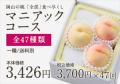 桃全部食べ尽くしマニアック