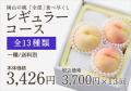桃全部食べ尽くしレギュラー