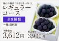 葡萄全部食べ尽くしレギュラー