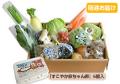【隔週定期】野菜BOX[基本]15～17品+卵