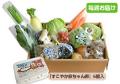 【毎週定期購入】野菜BOX[基本]15～17品+卵
