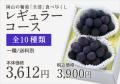 葡萄全部食べ尽くしレギュラー