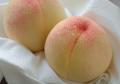 白鳳お土産ギフト