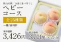 桃全部食べ尽くしヘビー