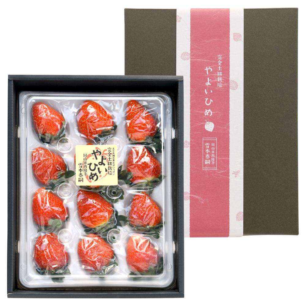贈答いちご 3,000円