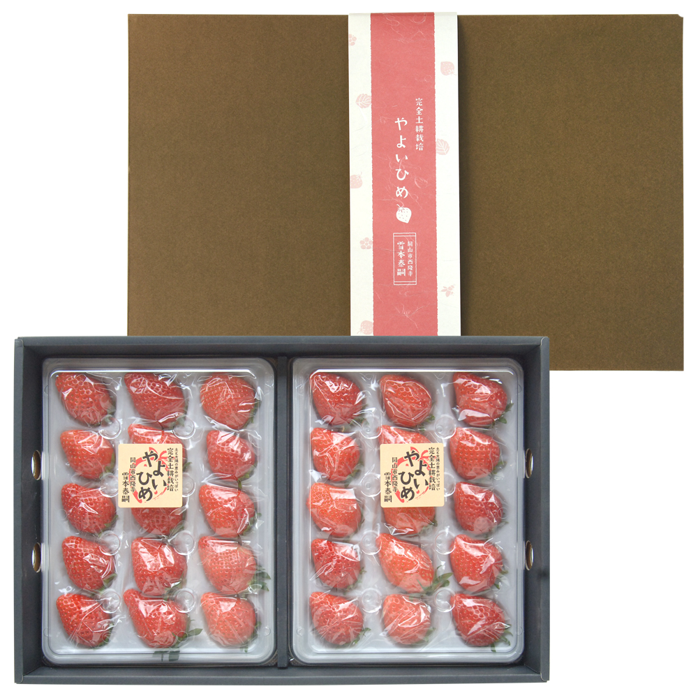贈答いちご（箱入り）5,400円
