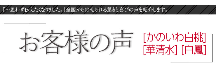 お客様の声