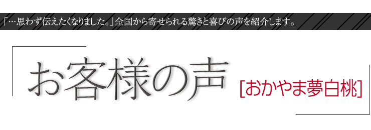 お客様の声