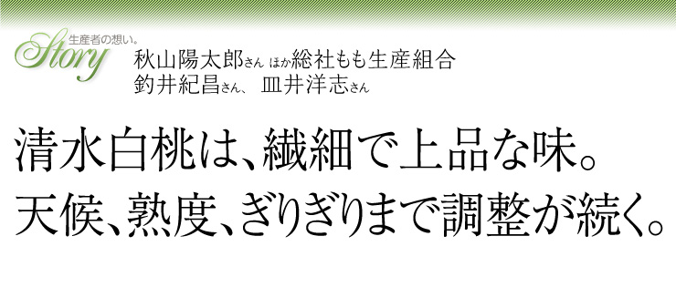 清水白桃は、繊細で上品な味。天候、熟度、ぎりぎりまで調整が続く。