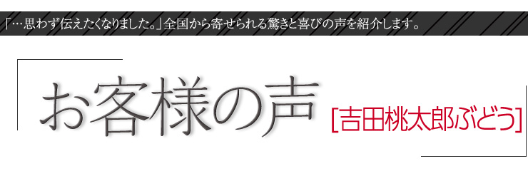 お客様の声　吉田桃太郎ぶどう