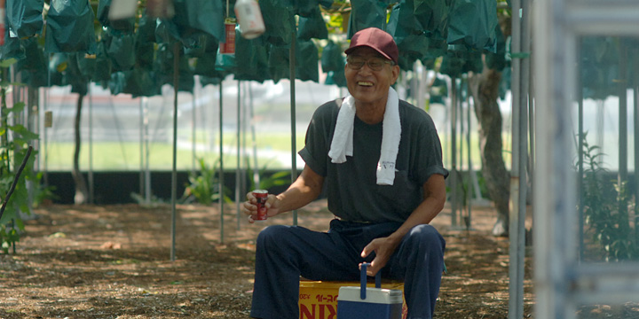 桃太郎ぶどう生産者　吉田宣孝さん