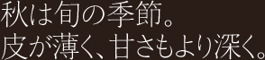 秋は旬の季節、皮が薄く甘さもより深く。