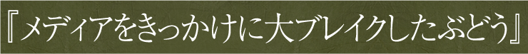 メディアをきっかてに大ブレイクしたぶどう