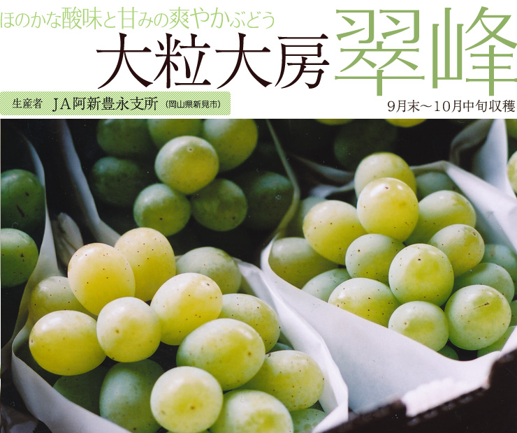 翠峰 通販「岡山果物カタログ」では産地直送いたします。