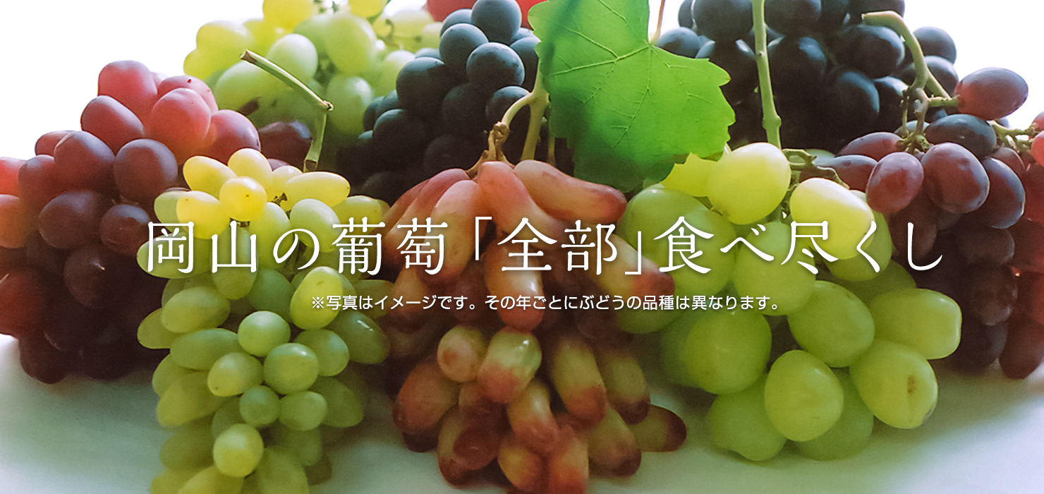 岡山の葡萄全部食べ尽くし
