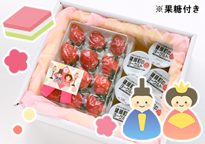 【ひな祭り】雪本泰嗣さんの完全土耕栽培いちごと建部ヨーグルトの詰合せBOX