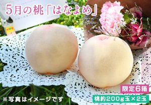 【母の日】初物の桃　5月の「はなよめ」