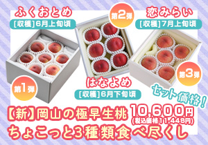 【新】岡山の極早生桃　ちょこっと3種類食べ尽くし