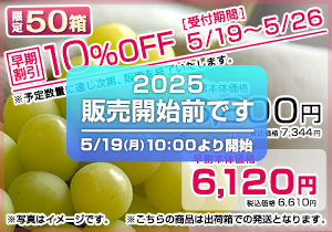 【早割】ご家庭用シャインマスカット