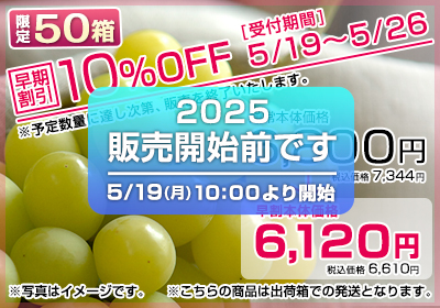 【早割】ご家庭用シャインマスカット