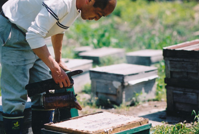 鈴木養蜂場の『さくら蜜&蓮華蜜』