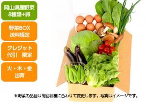【野菜BOX】すこやか鉄ちゃん卵と野菜8種