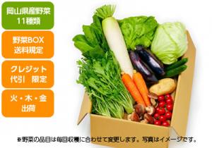 【野菜BOX】野菜満載11種類