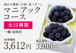 葡萄全部食べ尽くしマニアック