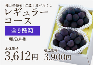葡萄全部食べ尽くしレギュラー
