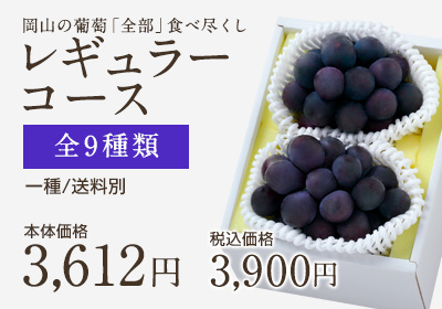 葡萄全部食べ尽くしレギュラー
