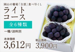 葡萄全部食べ尽くしライト