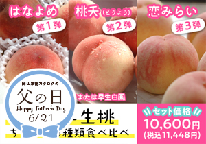 【父の日】岡山の早生桃ちょこっと3種類食べ比べ