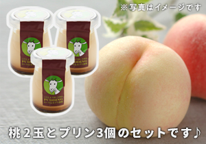 【父の日】桃と山羊乳プリン