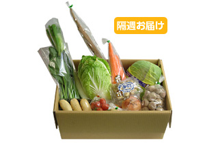 【隔週定期】野菜BOX[お手軽]10～12品　