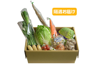 【隔週定期】野菜BOX[お手軽]10～12品